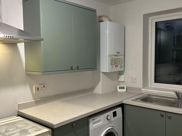 Empire trades sage green kitchen cooker